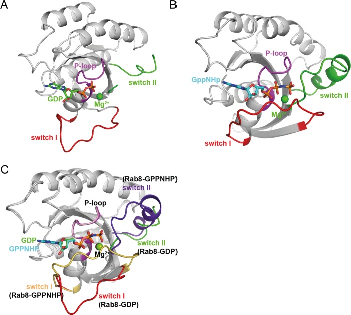 FIGURE 2.