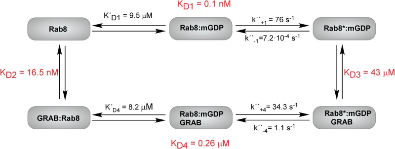 SCHEME 1.