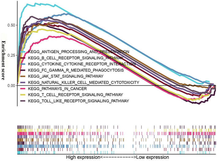 FIGURE 4