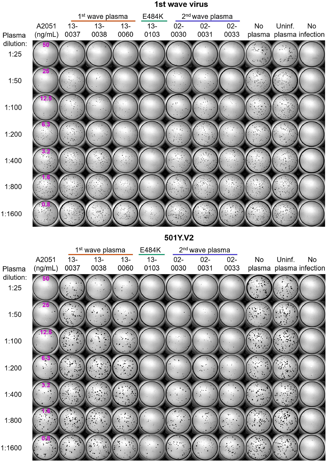 Extended Data Fig. 3 |