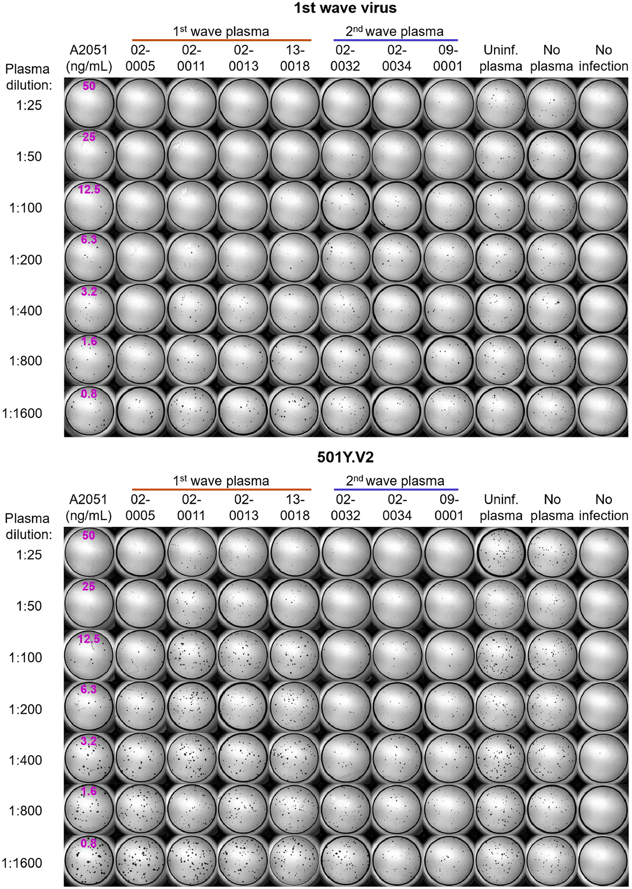 Extended Data Fig. 4 |