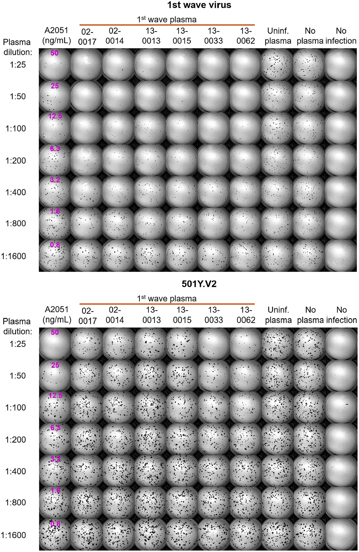 Extended Data Fig. 2 |