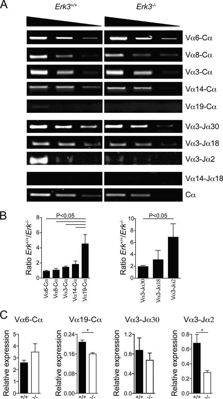 FIG 7