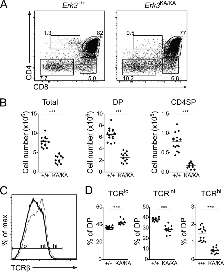 FIG 10