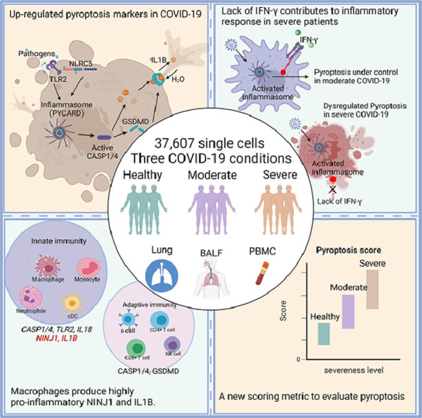 Image, graphical abstract