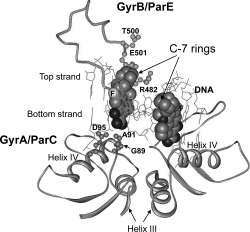 Fig. 5.