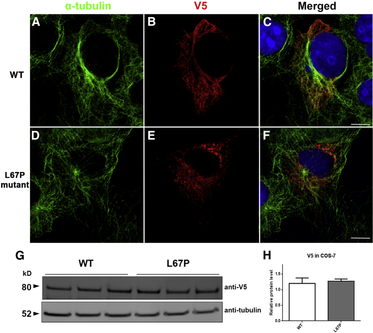 Figure 6