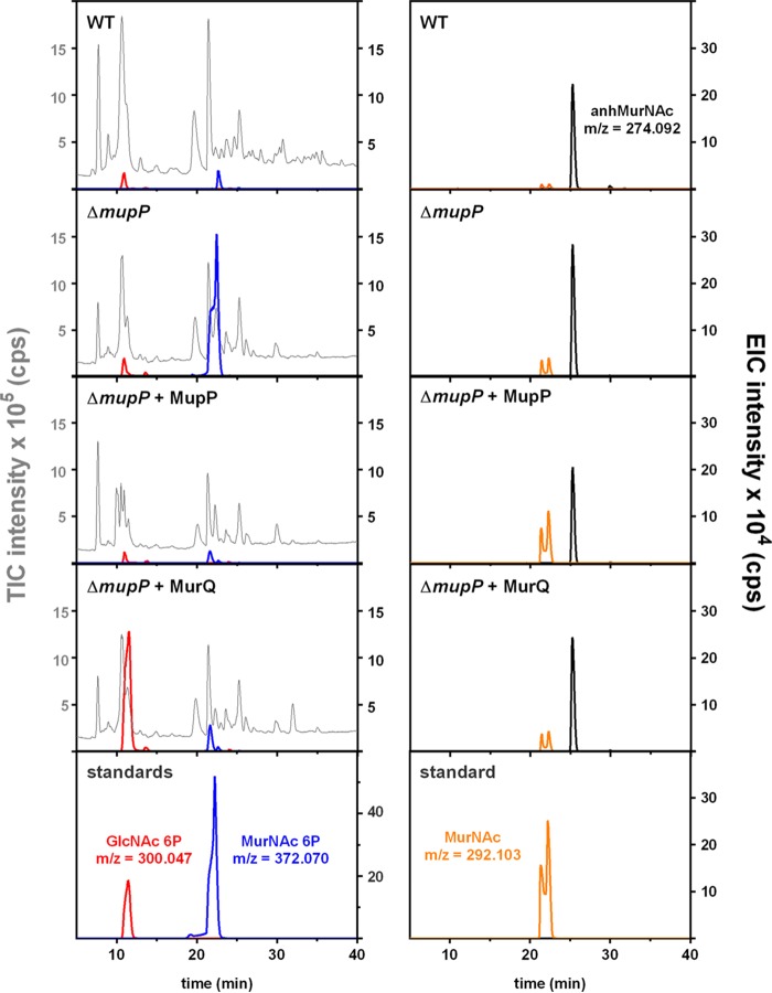 FIG 4 