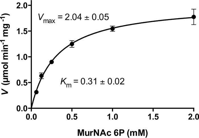 FIG 6 