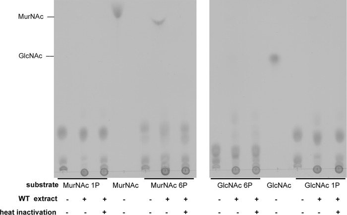 FIG 2 