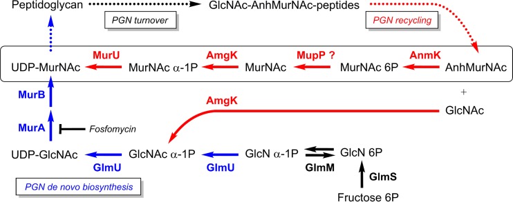 FIG 1 