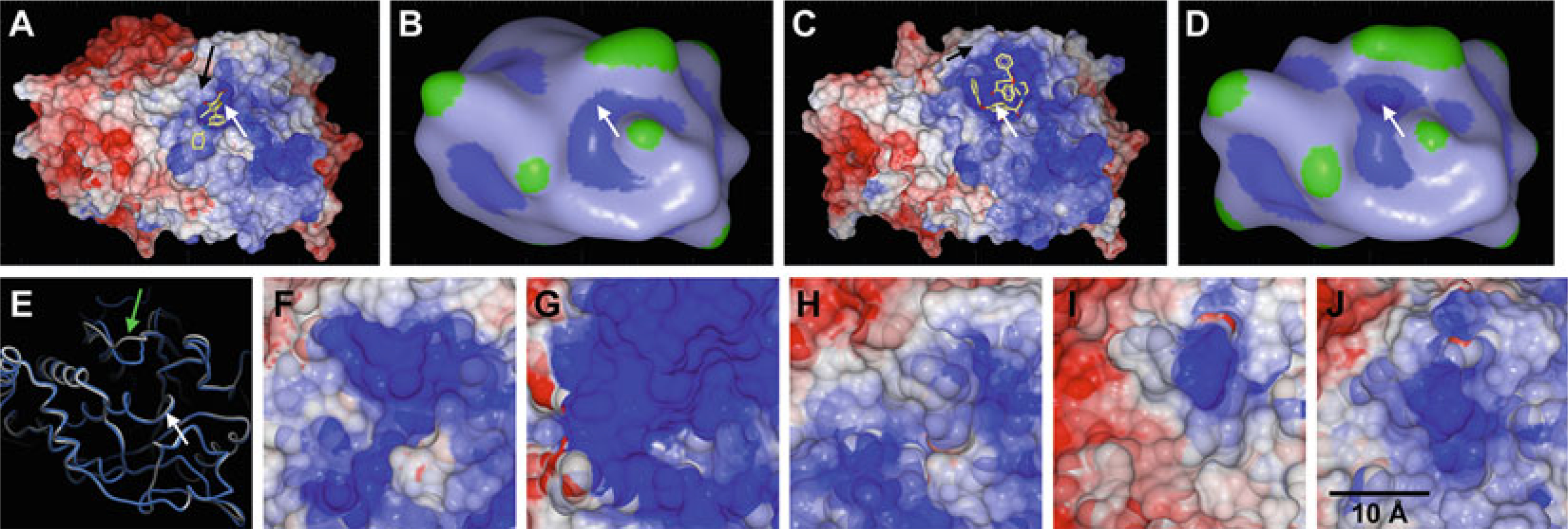 Fig. 11