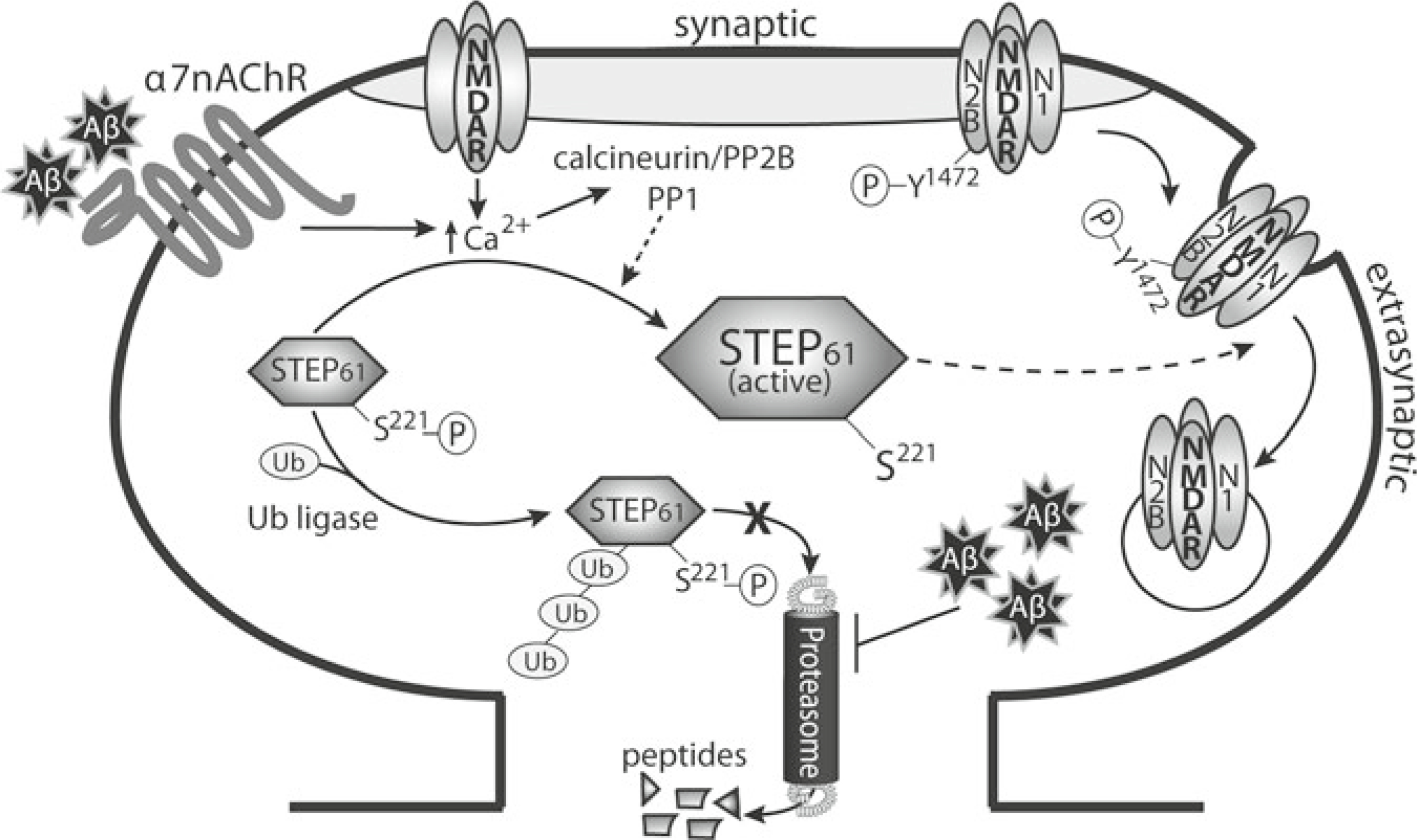 Fig. 10