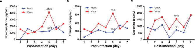 Figure 1