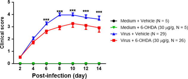 Figure 4