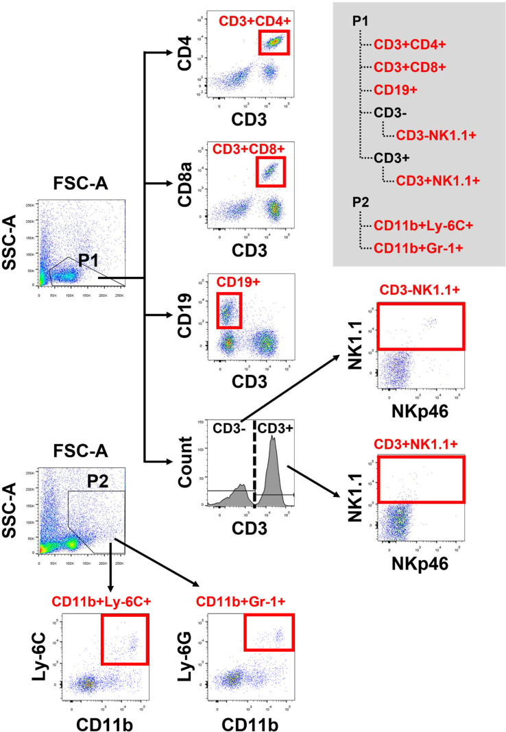 Figure 6