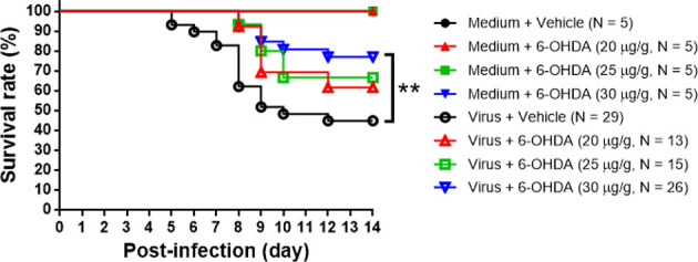 Figure 3