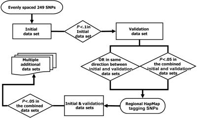 Figure  1. 