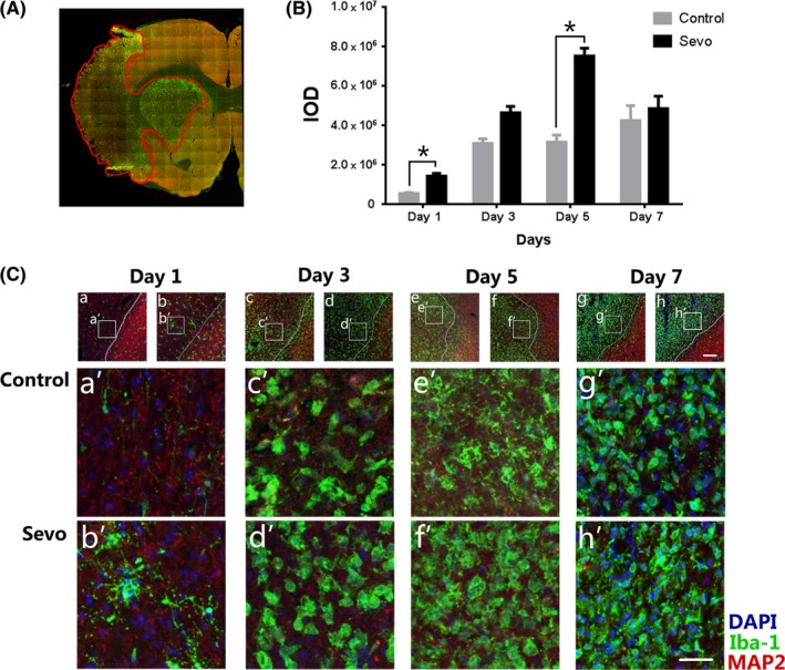 Figure 2