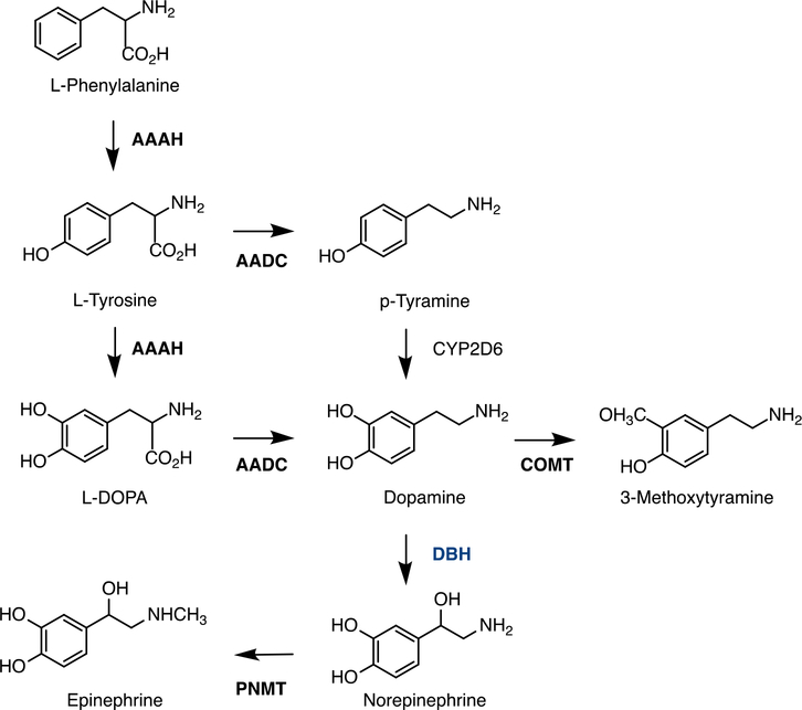 Fig.6