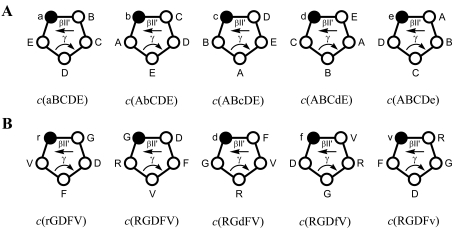 Fig. (1)