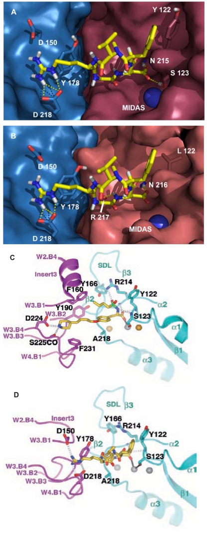 Fig. (9)