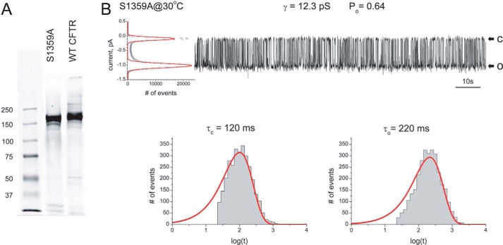 Figure 5.