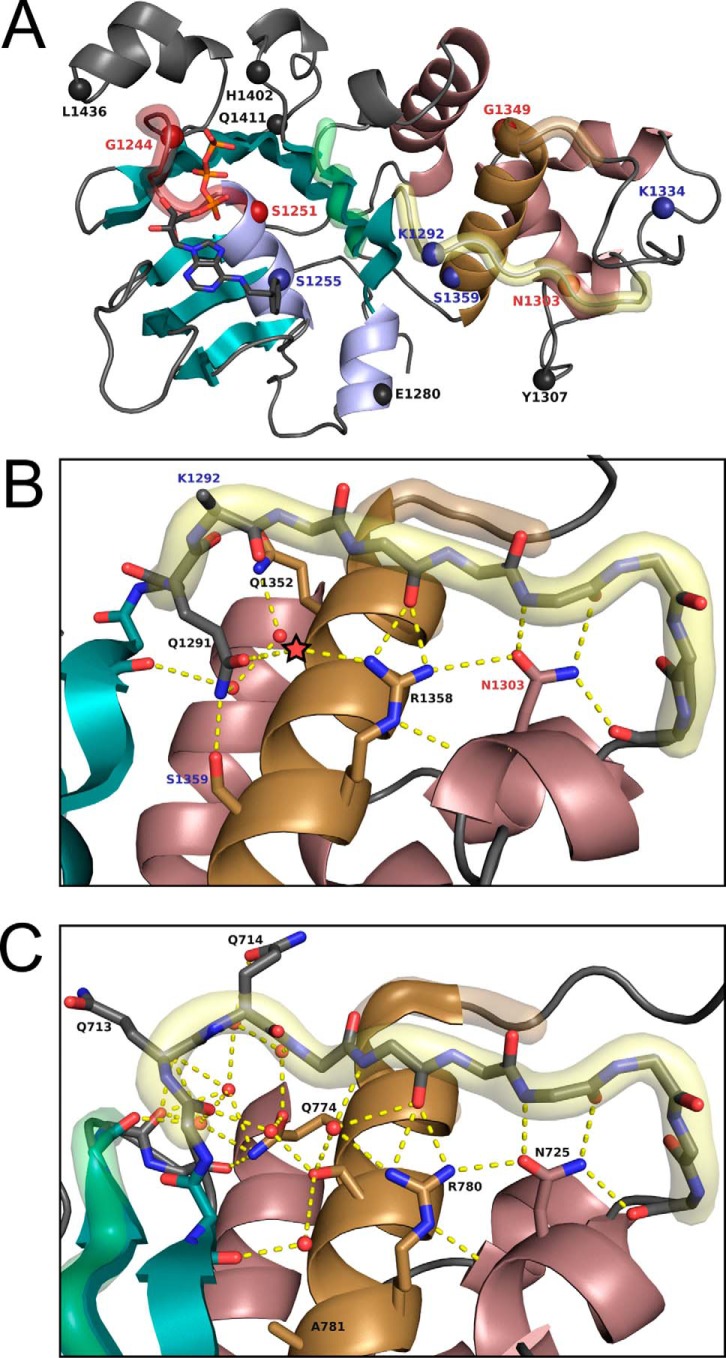 Figure 2.