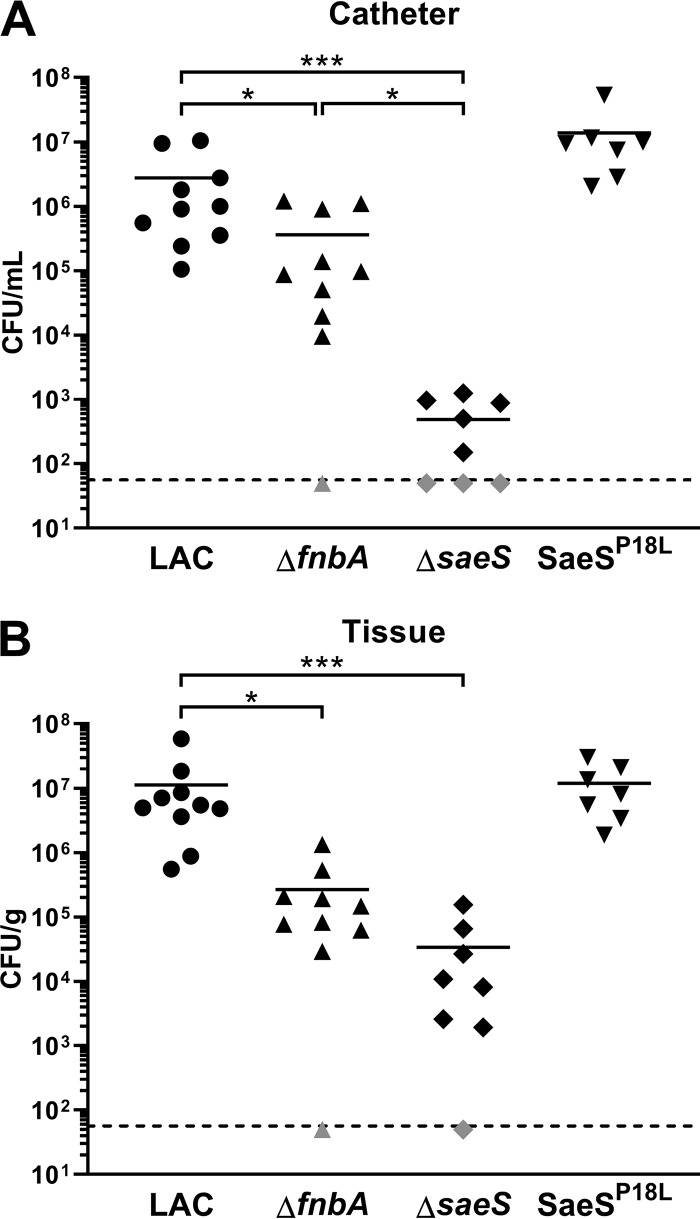 FIG 6