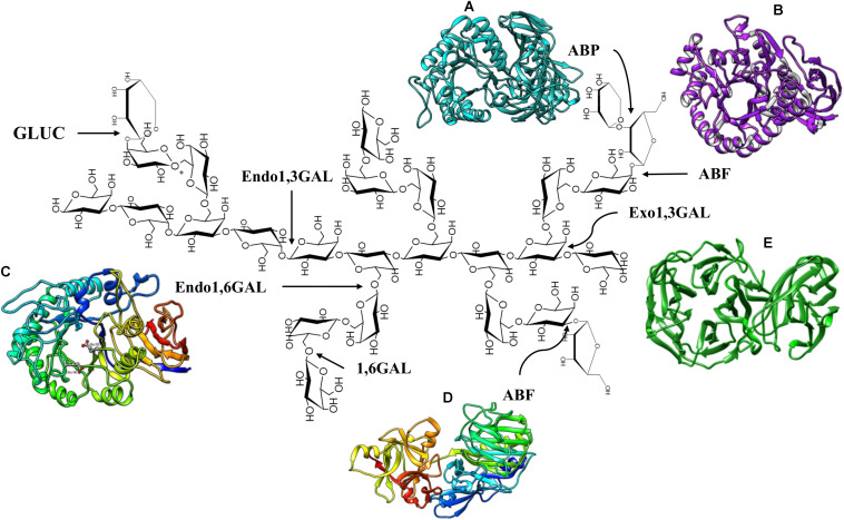 FIGURE 2