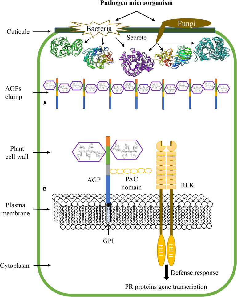 FIGURE 3