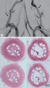 Fig. 10.