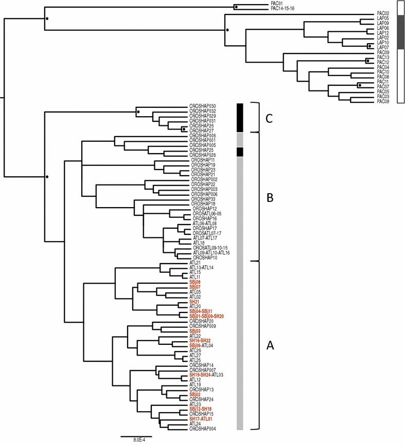 Fig. 2