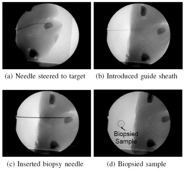 Fig. 9