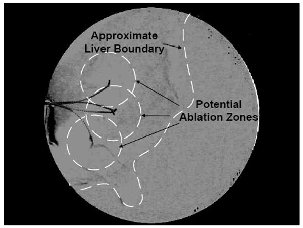 Fig. 8