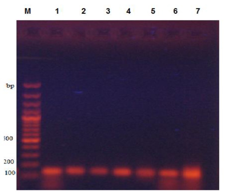 Fig. (3)