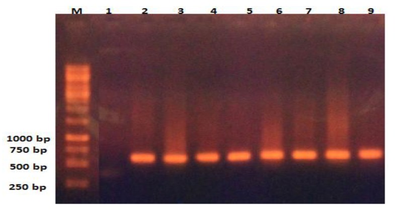 Fig. (2)