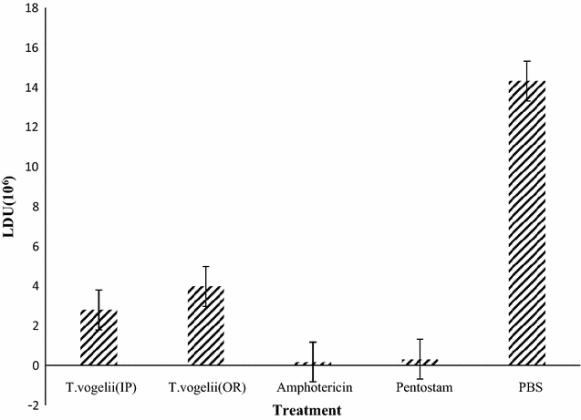 Fig. 6