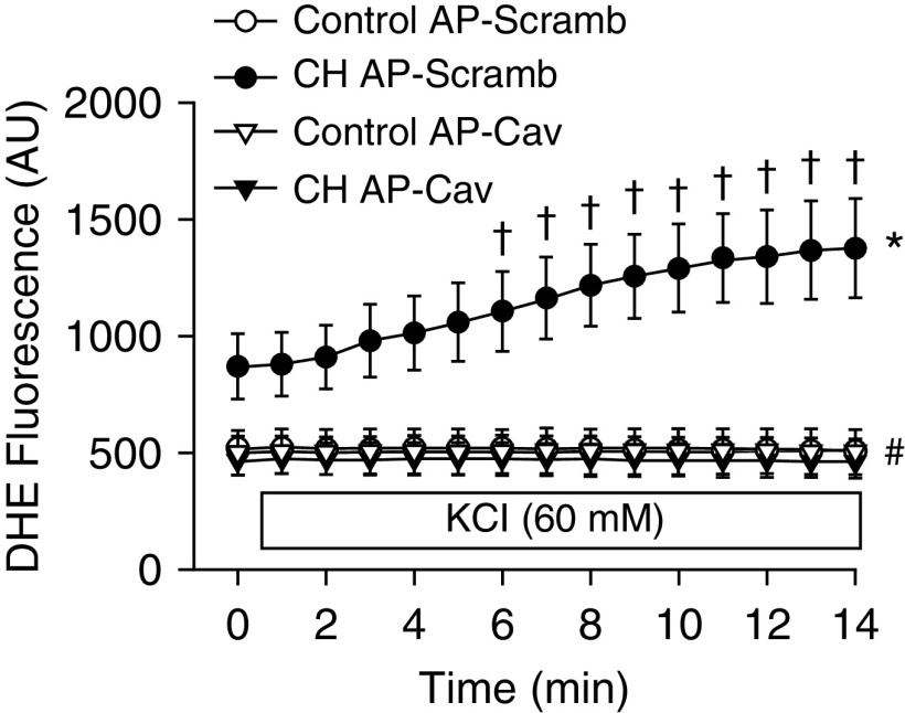 Figure 7.