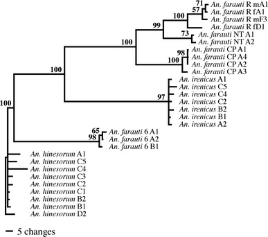 Fig. 5