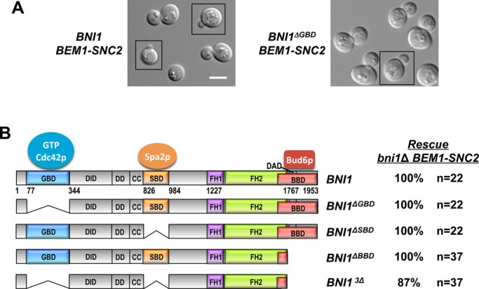 FIGURE 4: