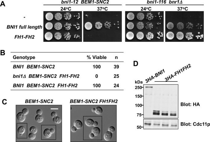 FIGURE 3: