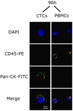 Fig. 11