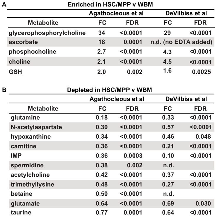 Figure 2—figure supplement 1.