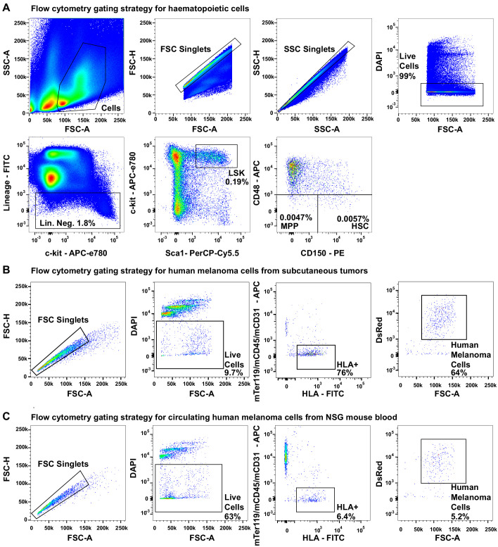 Figure 3—figure supplement 1.