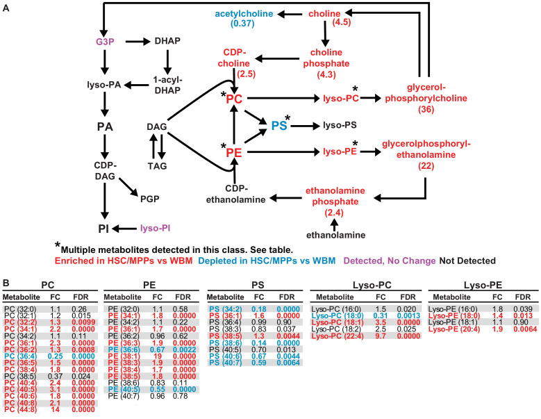 Figure 2—figure supplement 2.