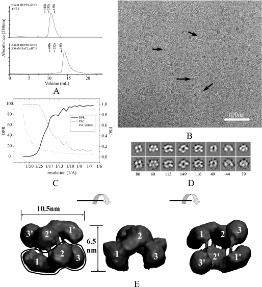 FIGURE 1.