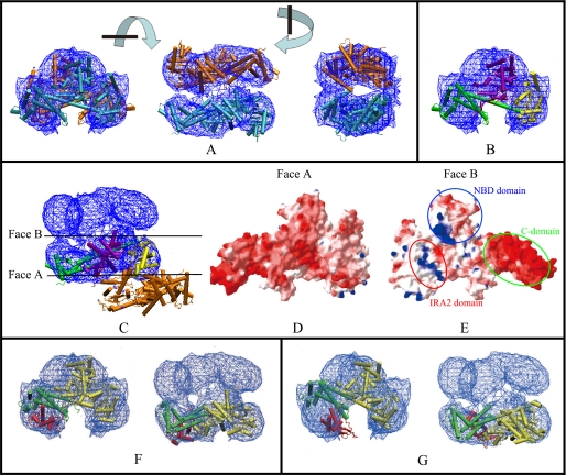 FIGURE 2.