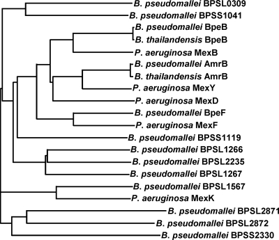 FIG. 3.