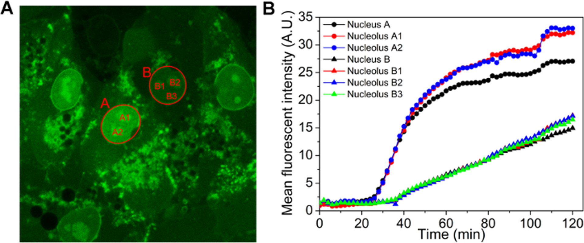 Figure 10.